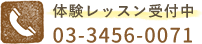 体験レッスン受付中 03-3456-0071